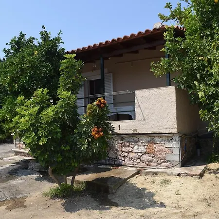 Ioanna Koroni (Messinia)
